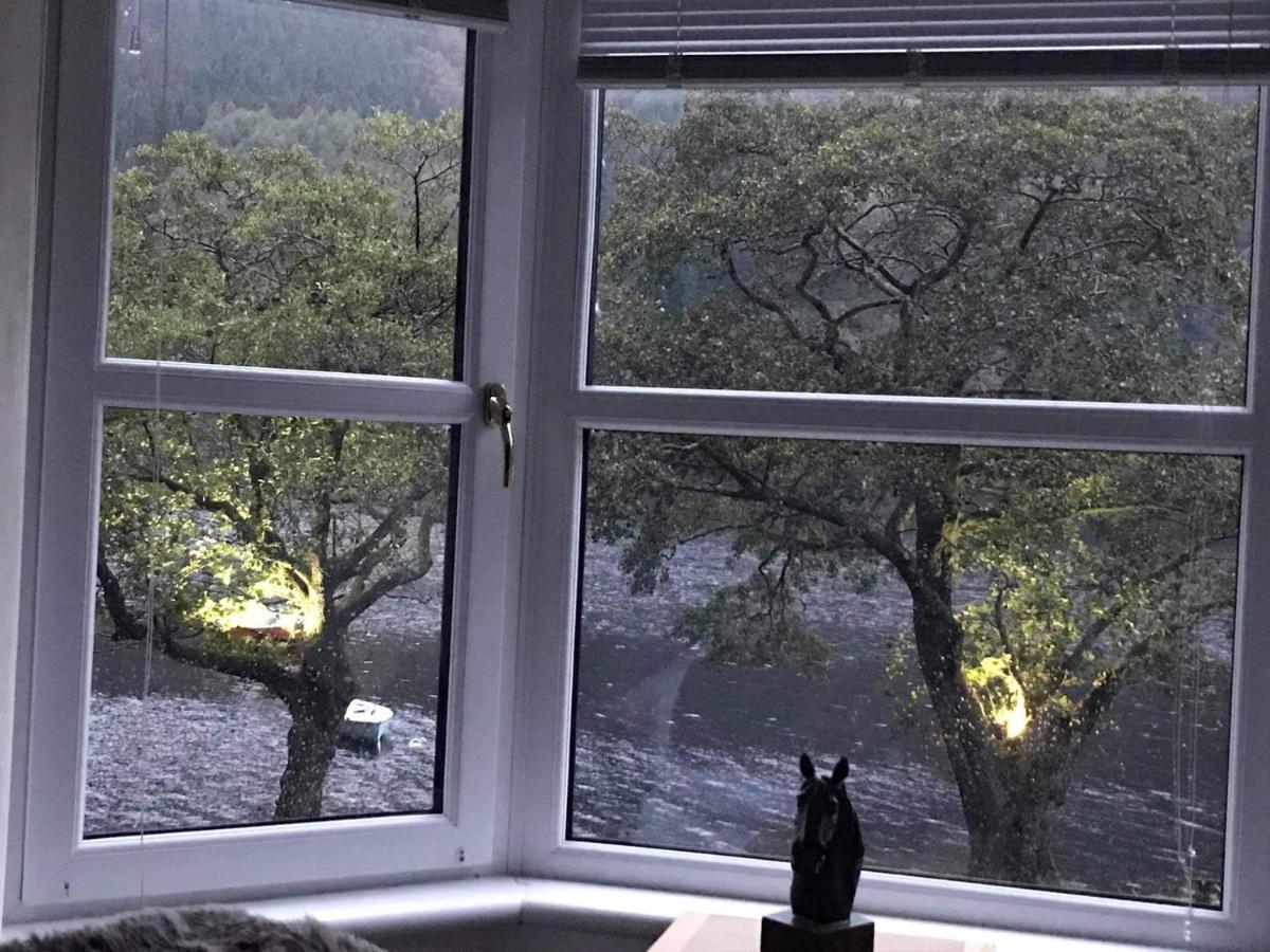 The Coylet By Loch Eck