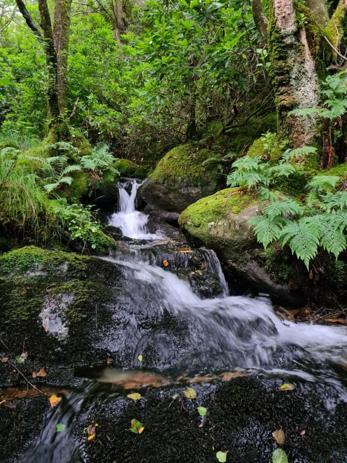 Estalagem The Coylet By Loch Eck Dunoon